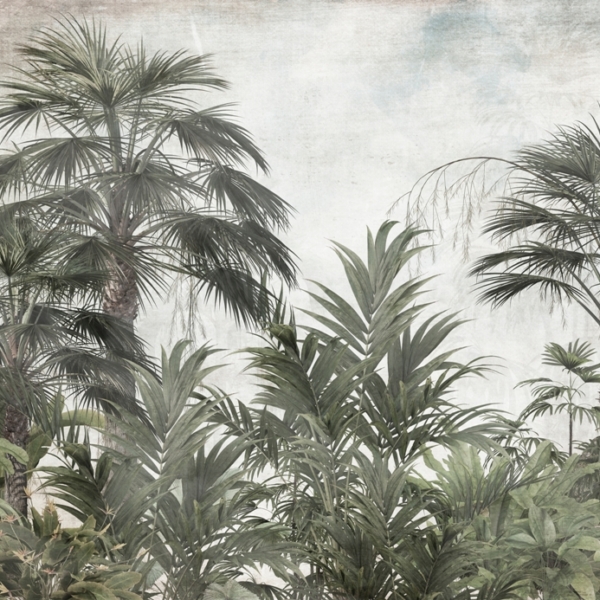 Nástěnná malba Tmavě zelená v džungli