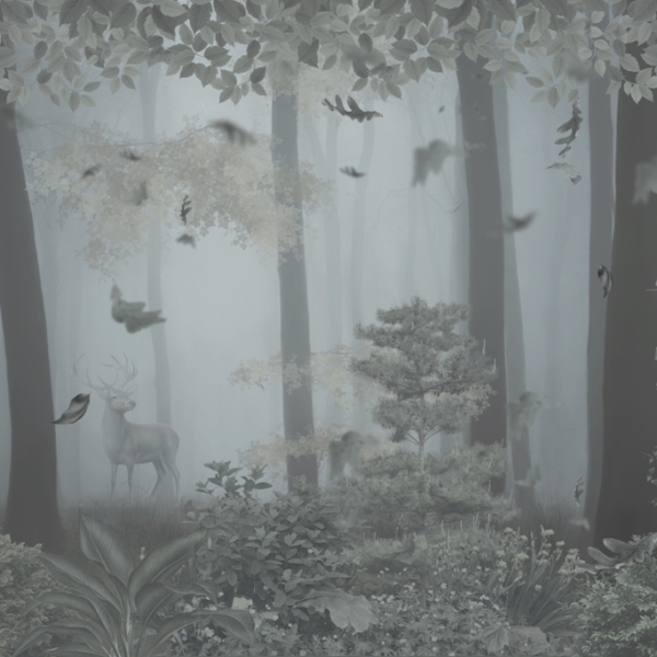 Fototapeta Dark Forest