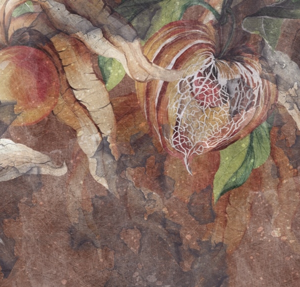 Fototapeta Teplé barvy podzimu