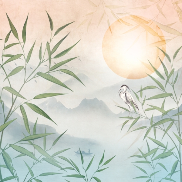 Nástěnná volavka na pozadí západu slunce