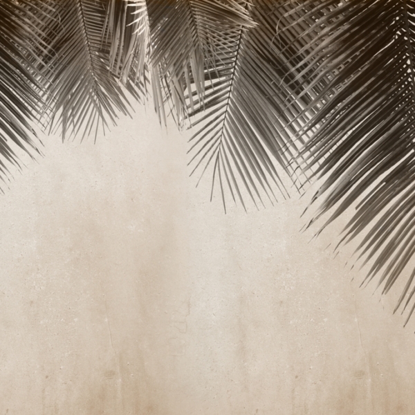 Černá palma nástěnná malba