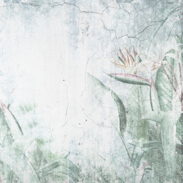 Nástěnná malba Starý půvab Strelitzia