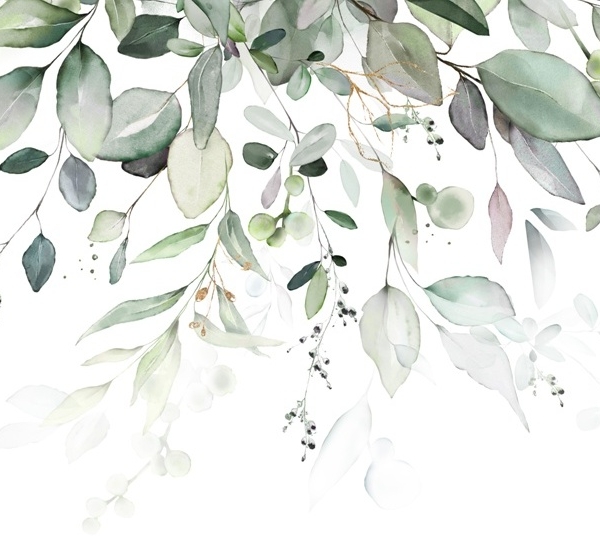 Fototapeta Jemné listy