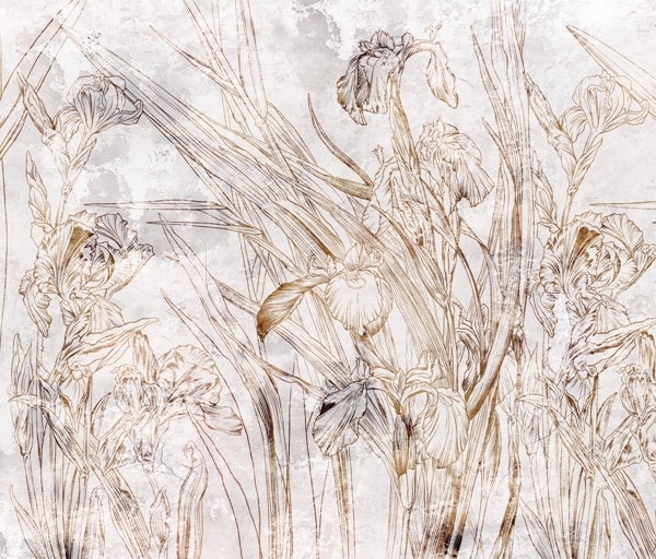 Nástěnná malba Jemná květina kosatce