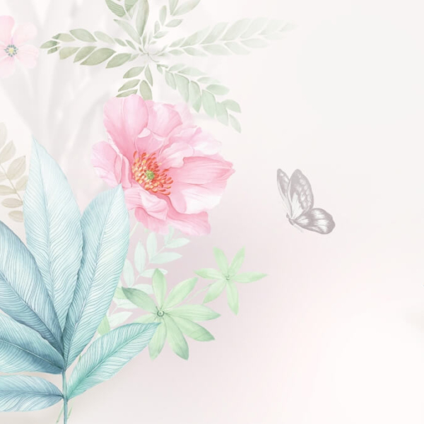 Fototapeta Delicate Flower