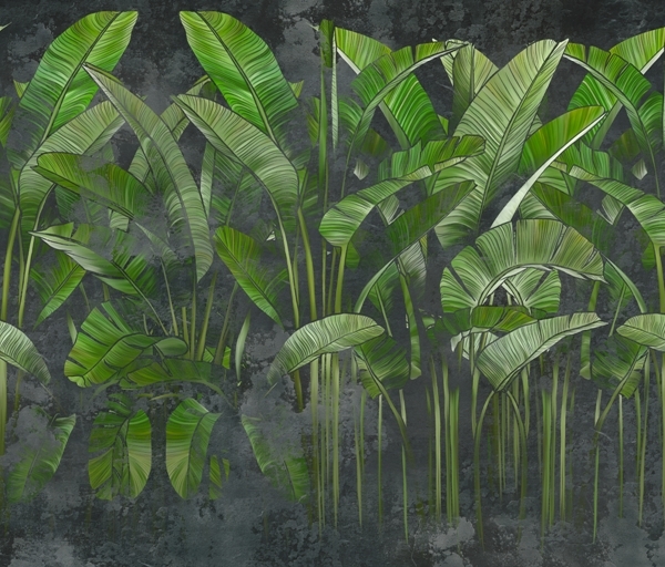 Nástěnná malba Dlouhé zelené listy