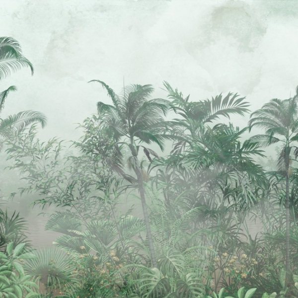 Nástěnná malba Exotická mlha