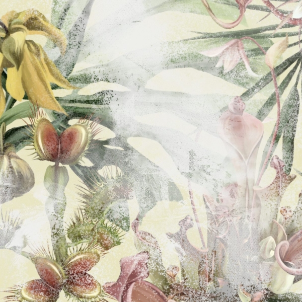 Nástěnné exotické rostliny