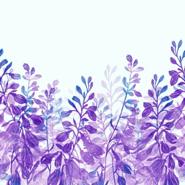 Nástěnná malba Fialové rostliny