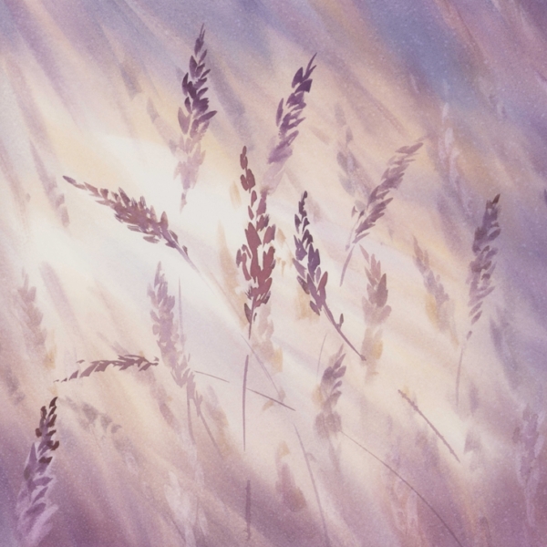 Freska Fialová tráva Vibrace