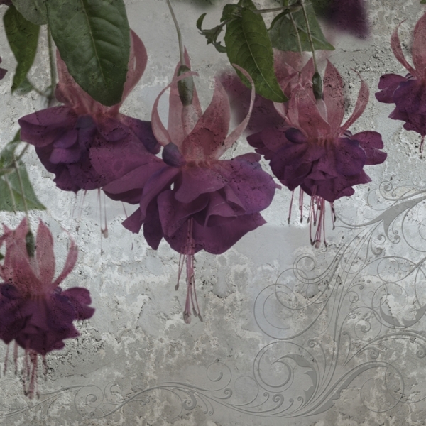 Nástěnná malba Fialové květiny