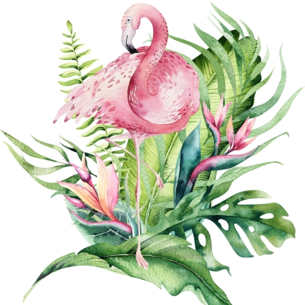 Nástěnná malba Flamingo v listech