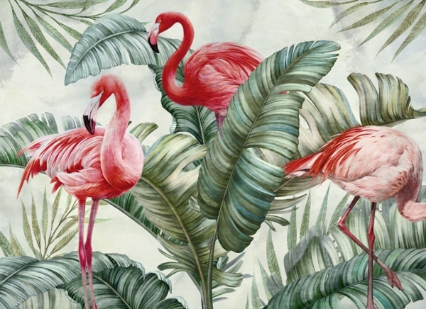 Tapety Plameňáci v zelené barvě