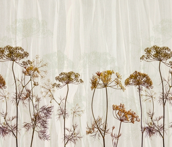 Nástěnná malba koprových větví