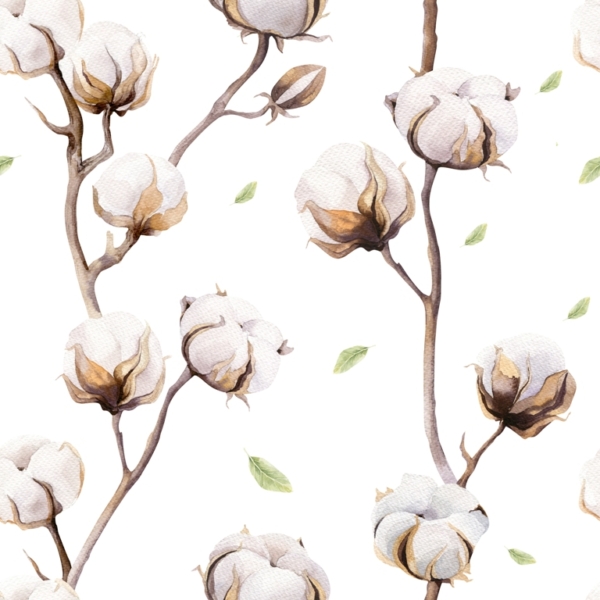 Nástěnná malba Cotton Blossom Twigs