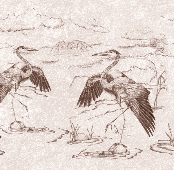 Fototapeta Japonské jeřáby na obrázku