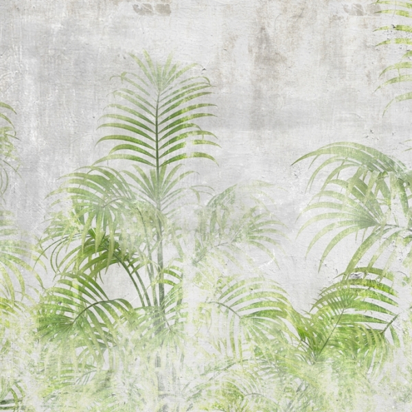 Fotopast Jasně zelené palmy