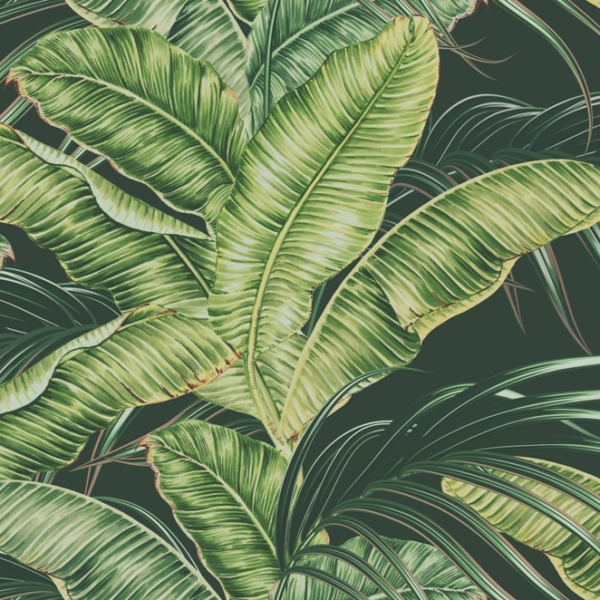 Nástěnné světle zelené exotické listy