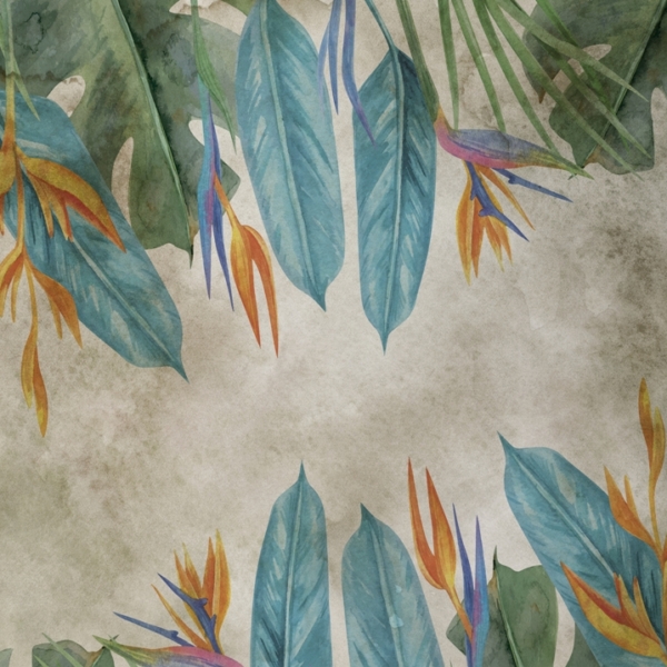 Fototapeta Barvy květiny Strelitzia