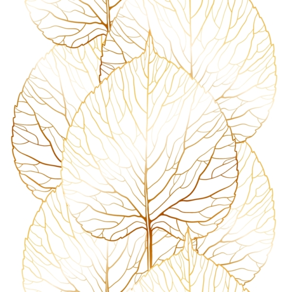 Fototapeta Obrys plátkového zlata