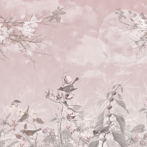 Fotopast Měsíční noc