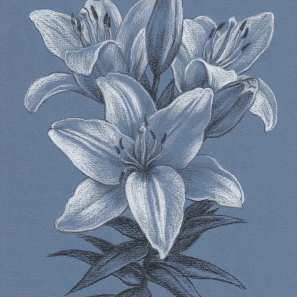 Nástěnná malba Lilac Blossom v modré barvě