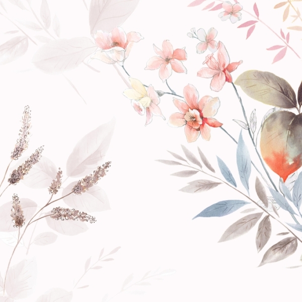 Tapety Květina na bílém pozadí