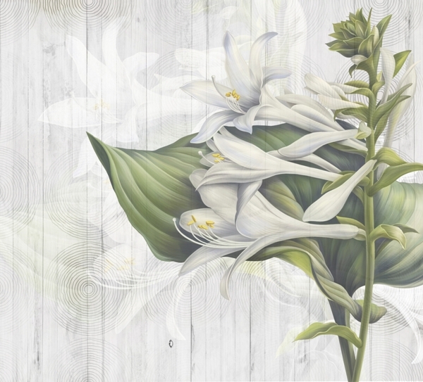 Tapeta Květina na podlaze