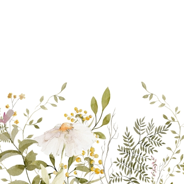 Nástěnná malba heřmánku