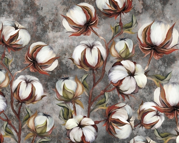 Nástěnná malba Cotton Blossoms