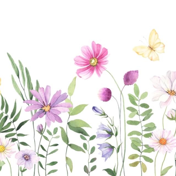 Tapety Květiny na louce