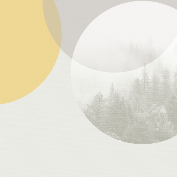 Nástěnná malba lesa uzavřeného v kruhu