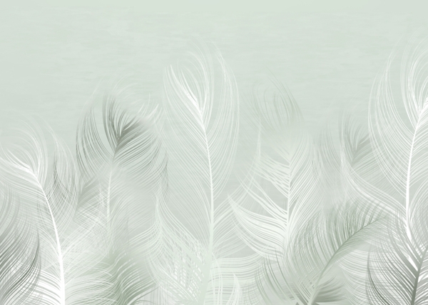 Nástěnná malba Lehkost peří