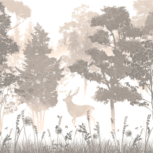 Fototapeta Forest Dawn