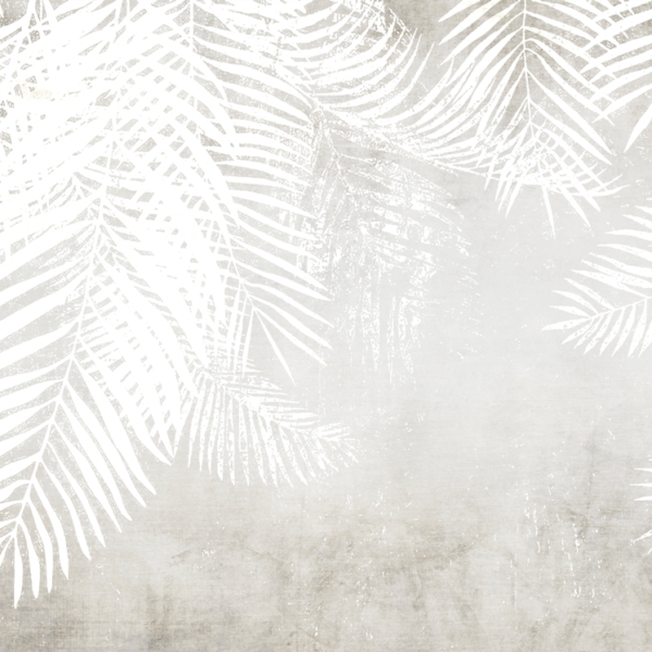 Tapety Palmové listy bílé
