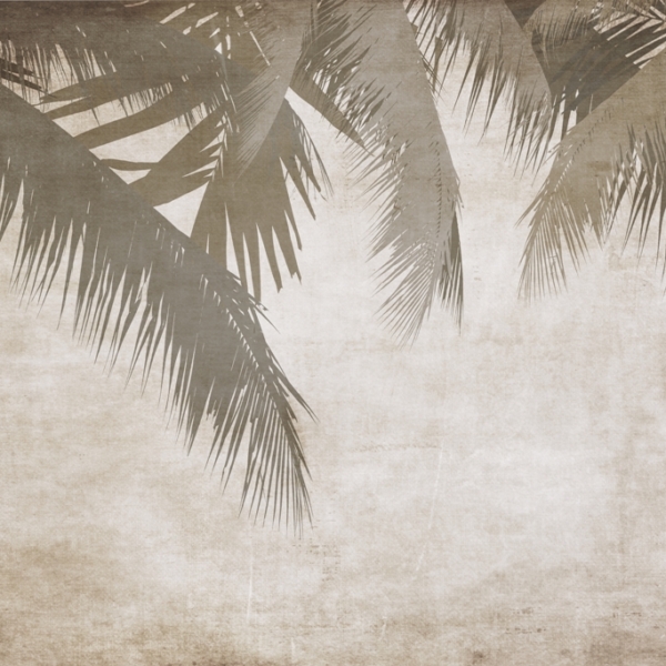 Fototapeta Listy v sépiové barvě