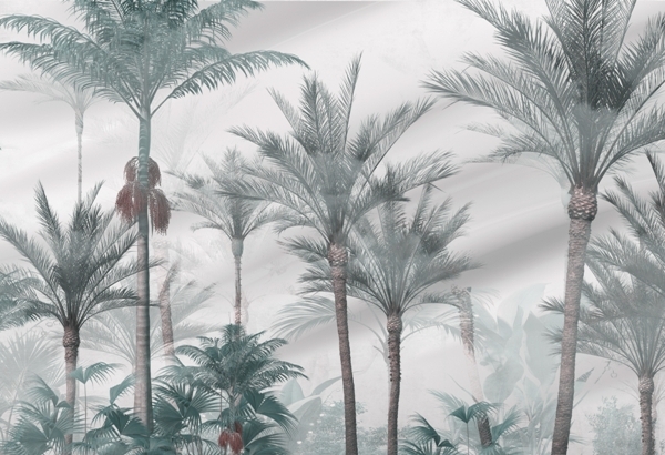 Nástěnná mlha nad palmovým lesem