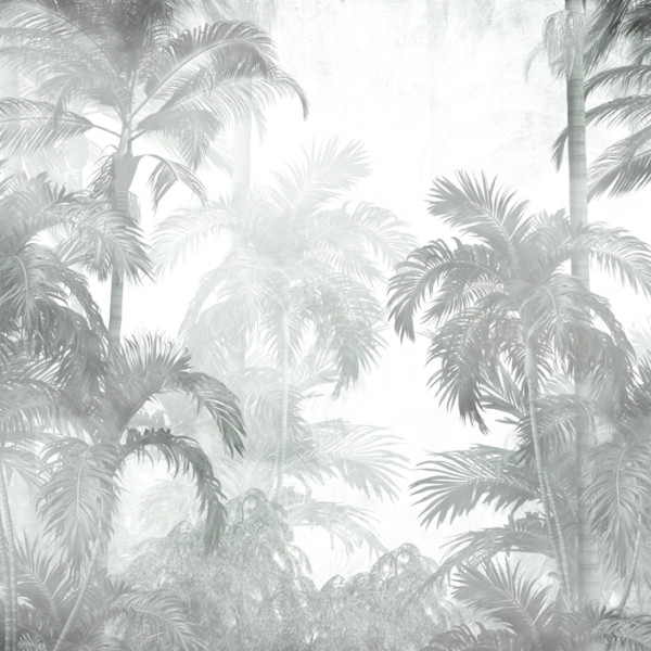 Nástěnná mlha mezi palmami