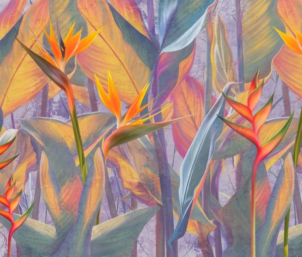 Nástěnná síla exotických barev