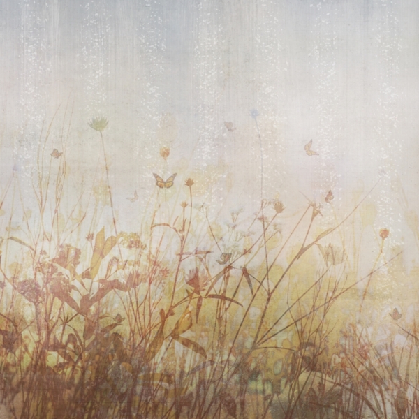 Nástěnná malba Motýli na louce