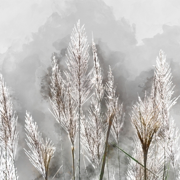 Nástěnná malba Mráz na rostlinách