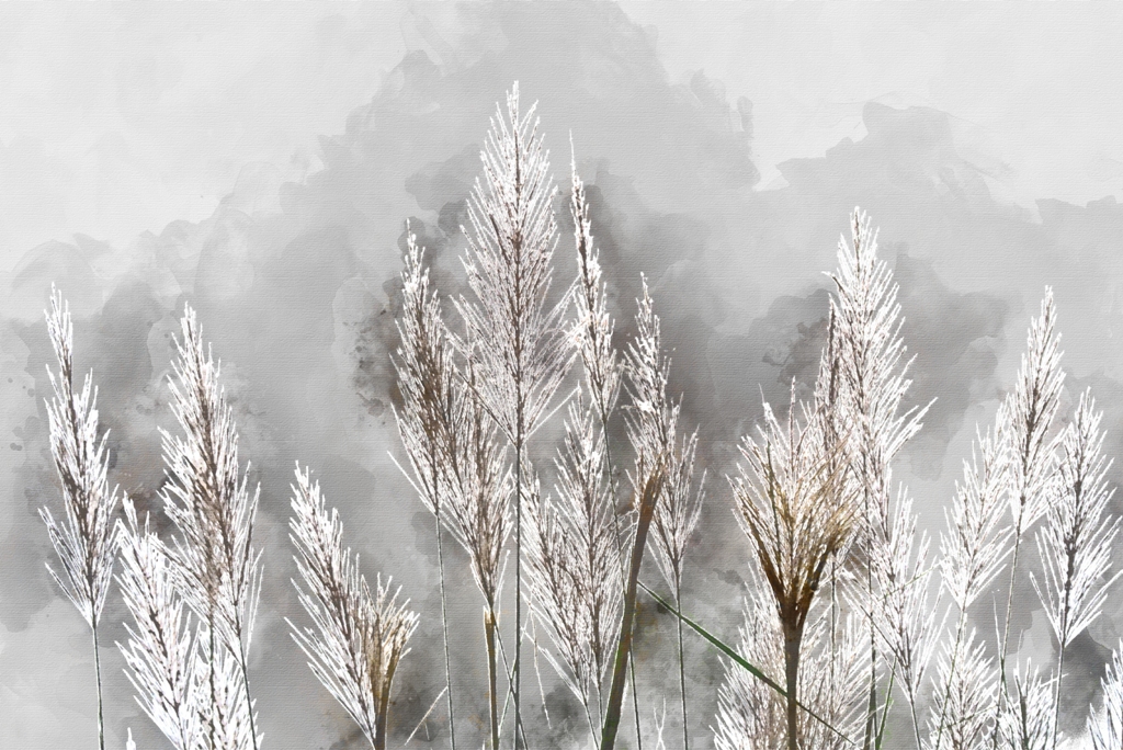 Fototapeta-Mroz-Na-Roslinach_443806060