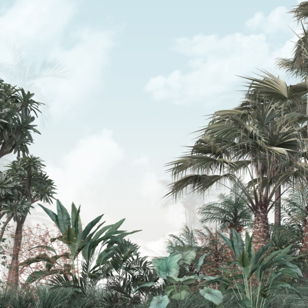 Nástěnná malba Nebe nad džunglí