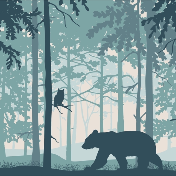 Nástěnný medvěd v Modrém lese