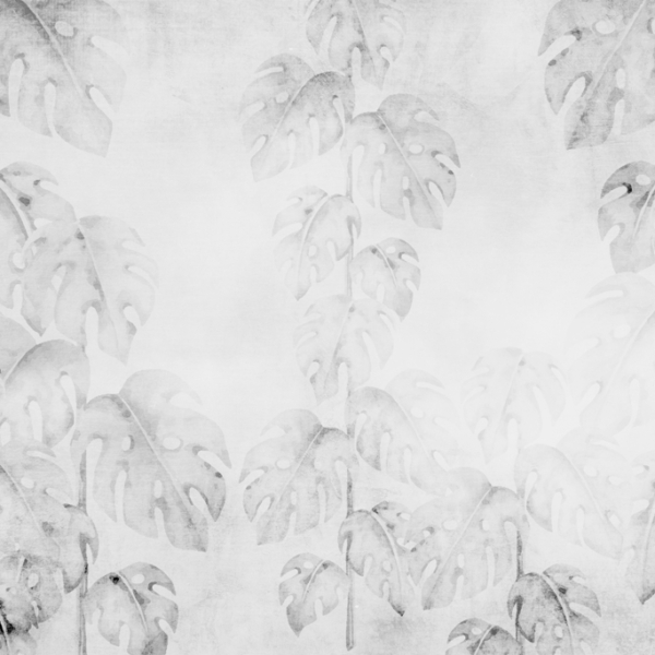 Nástěnná malba Invisible Monstera