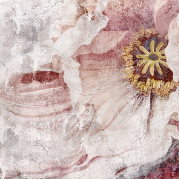 Nástěnná malba Rozmazaný bílý květ