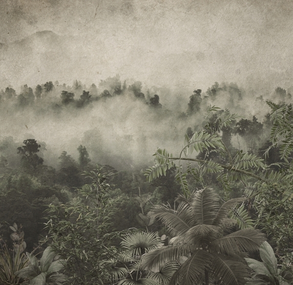 Freska padající husté mlhy