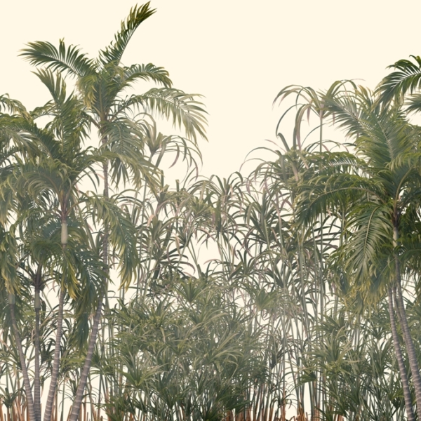 Nástěnná malba Úzkolisté palmy