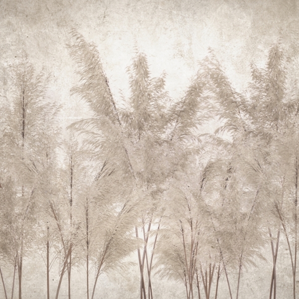 Nástěnná malba travnatých šlahounů v sépiové barvě