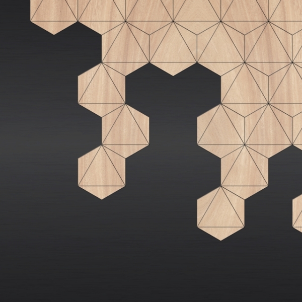 Nástěnná malba včelí plástve